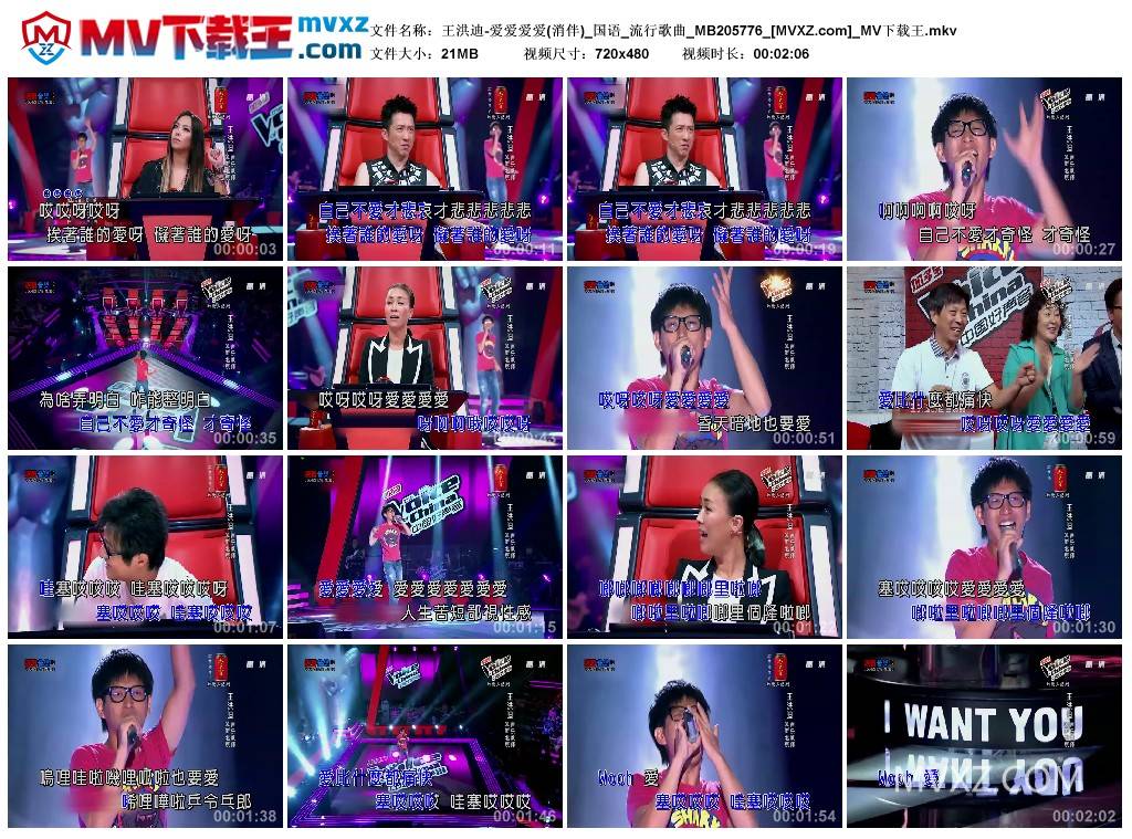 王洪迪-爱爱爱爱(消伴)_国语_流行歌曲_MB205776